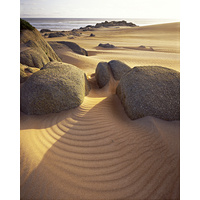 Dunes and Granite, takayna, Tarkine Wilderness, Tasmania