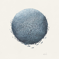 Bait Ball 2 - 50cm Limited Edition signed print