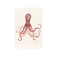 Maori Octopus - A2