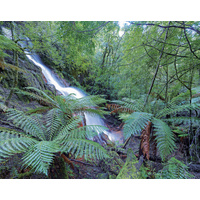 Tulloch Falls, Mt Lindsay, Tarkine, Tasmania