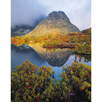 Morning light on Little Horn, Cradle Mountain-Lake St. Clair National Park, Tasmania