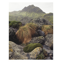 Macquarie Island, Tasmania