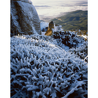 Hobart and the Derwent estuary from the summit, Mount Wellington, Tasmania