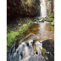 In Waterfall Valley, Cradle Mountain-Lake St Clair National Park, Tasmania