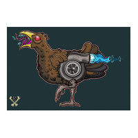 Chook