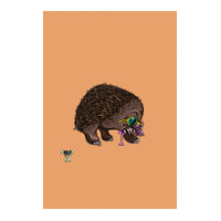 Echidna