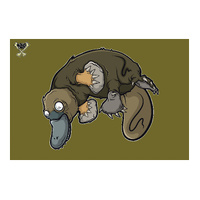 Platypus