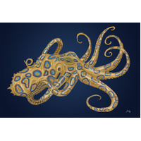Blue Ringed octopus