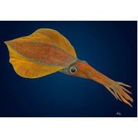Southern Calamari