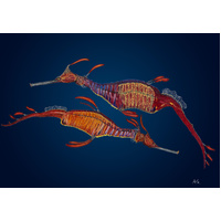 Weedy Seadragon Pair