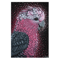 Galah