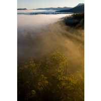 Florentine Valley Forest Aerial #2, Tasmania