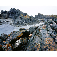 Tarkine Coast, NW Tasmania