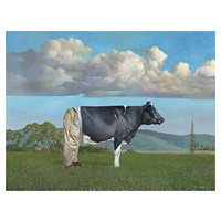 The Trojan Friesian