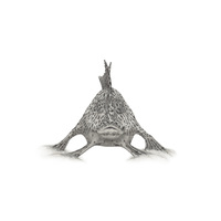 Handfish