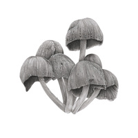 Fungi 20cm square
