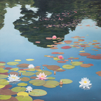 Waterlillies - Large 90x90cm, Canvas Print only
