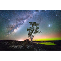 Tasmanian Nights 16x24"