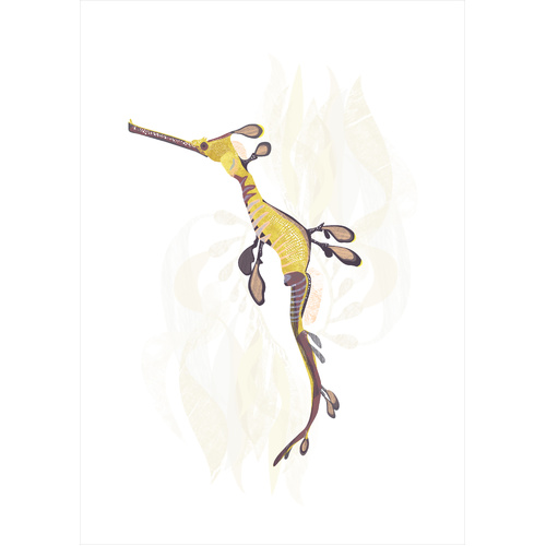 Weedy Sea Dragon - Tinderbox