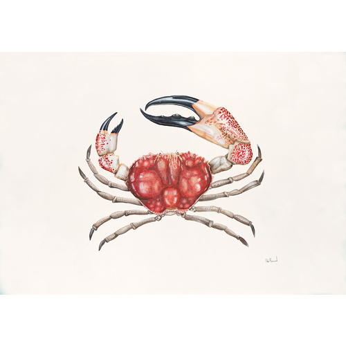 Giant Crab