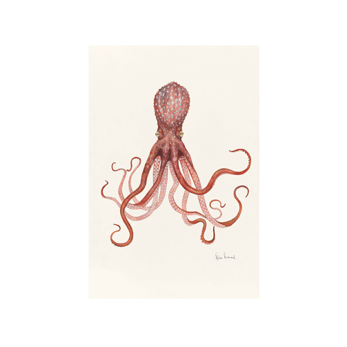 Maori Octopus 