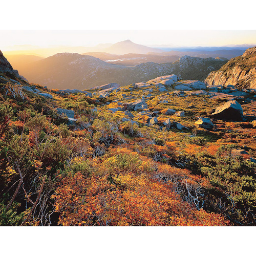 West Coast Range, Tasmania