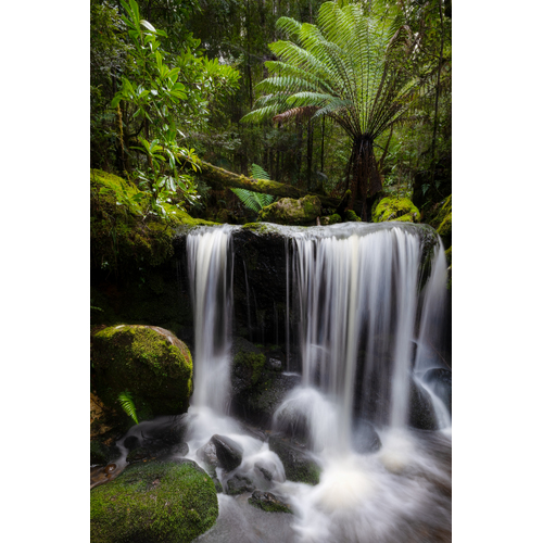 Wild Waterfalls - South West National Park 