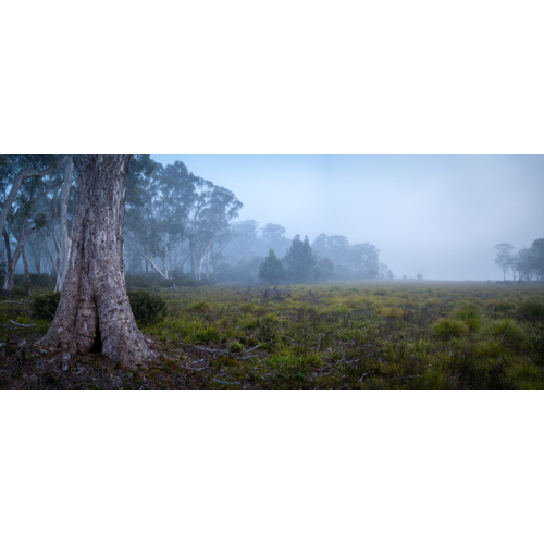Wild Plains - Central Highlands Tas