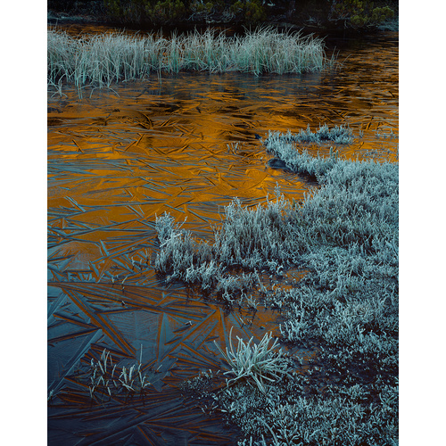 Ice and Alpenglow, Cradle Mountain-Lake St. Clair National Park, Tasmania