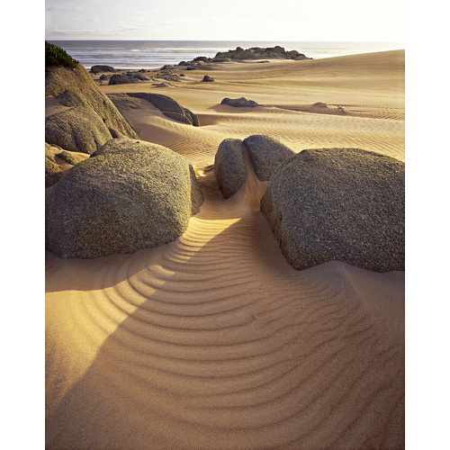 Dunes and Granite, takayna, Tarkine Wilderness, Tasmania