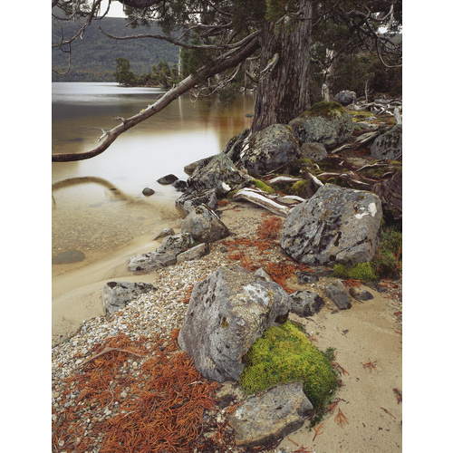 Shoreline at Lake Will, Cradle Mountain-Lake St Clair National Park, Tasmania
