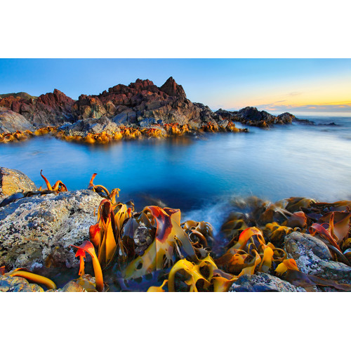 Trial Harbour, TAS