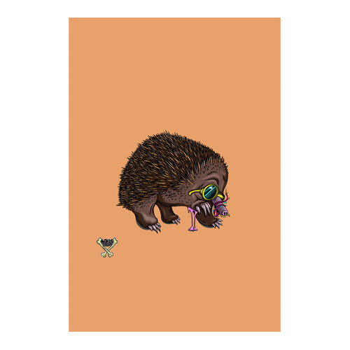 Echidna