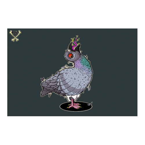 Pigeon