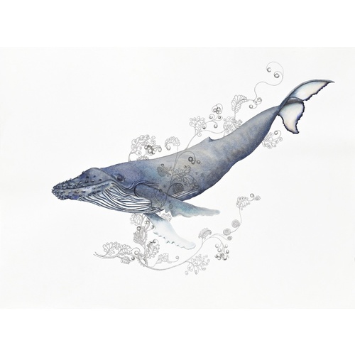 Sea Life