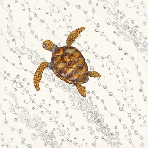 Under the Sea