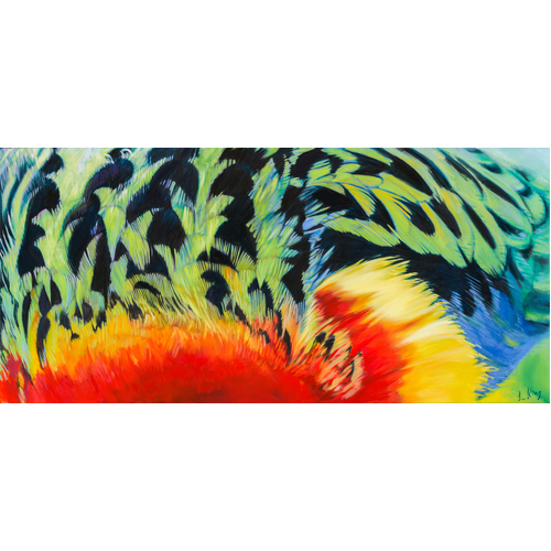 Plumage