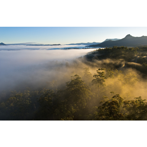 Florentine Valley Forest Aerial #1, Tasmania