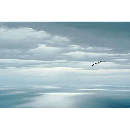 Bass Strait Albatross
