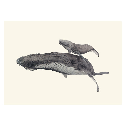 Humpback Whales - Cream background - "Fae Ofa"