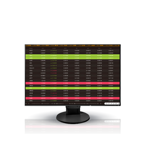 Eizo Flexscan Ev2456 Monitor